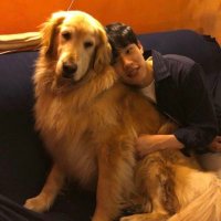 짱철애정해 (@star_fe2) 's Twitter Profile