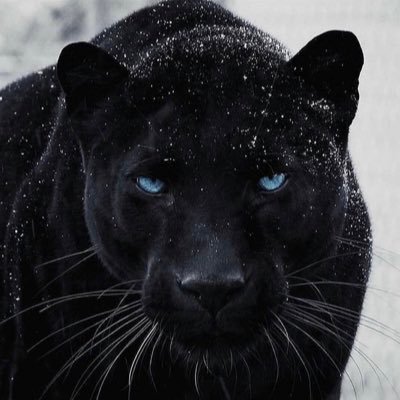 Experiencia Teórica y Práctica en Seguridad y Logística