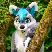 Thory (@thorythefox) 's Twitter Profile Photo Thory (@thorythefox) 's Twitter Profile Photo