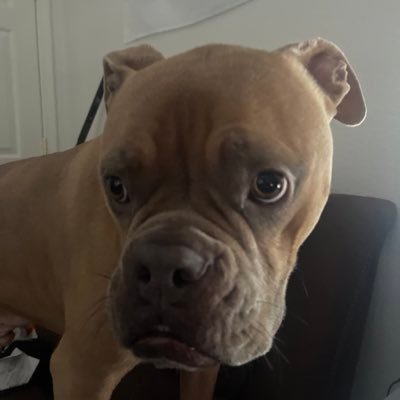 DJChristoolpher's profile picture. The lil rippa