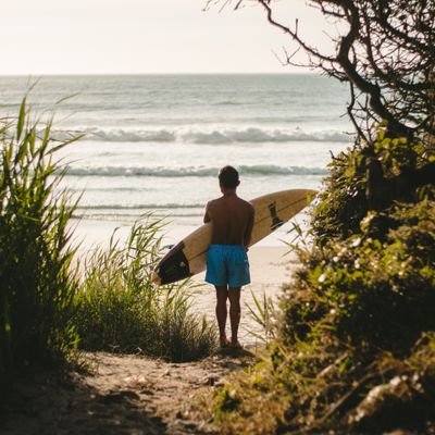 selmanaltinbas's profile picture. 