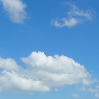 ko53238949's profile picture. 取引を中心としております。25↑/社会人/女
仕事の都合により平日は返信が基本19-23時、朝6時-8時となります。初回の場合はﾘﾄﾘﾝご一読お願いいたします。※こちらからお声がけした場合はﾘﾄﾘﾝ読まなくても大丈夫です。