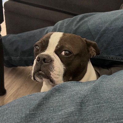 Ayeg1321's profile picture. 