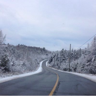 anwarmis's profile picture. 