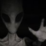 NewTitterUser's profile picture. 