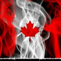 Steve Cozza (@kootsguy) 's Twitter Profile