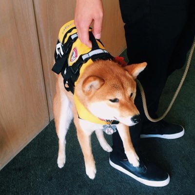 Jonatha46320598's profile picture. 