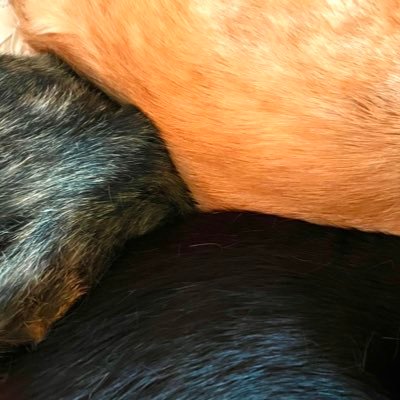 sabita_magu's profile picture. Xの使い方がいまいちわかってません。失礼があったらごめんなさい🙏成人済。⚠️たまに腐ります。🍚メアビの再現飯作ります🍚世界観から逸脱し過ぎず、美味しくて、見た目も◎を目指したい🍚メアビは考察だか妄想だか願望だかわからないことポストします。フォロバは遅い。