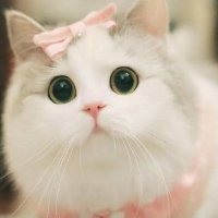 ゆか❤️ (@yuka8386) Twitter profile photo