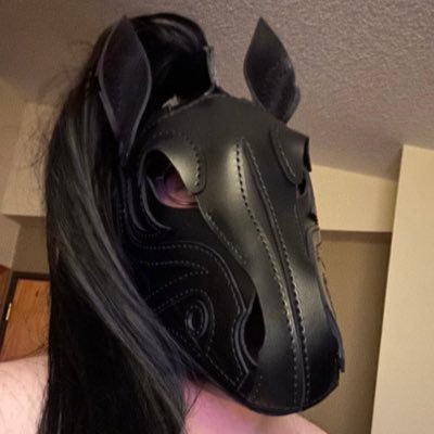 Hornbeam/Brier❂ 26 ❂ Workhorse/puppy ❂ 🏳️‍⚧️ They/ey/he ❂ Kinky Polyam aroace ❂ puppyplay, ponyplay, sometimes a kidfur, 420 ❂ 🔞