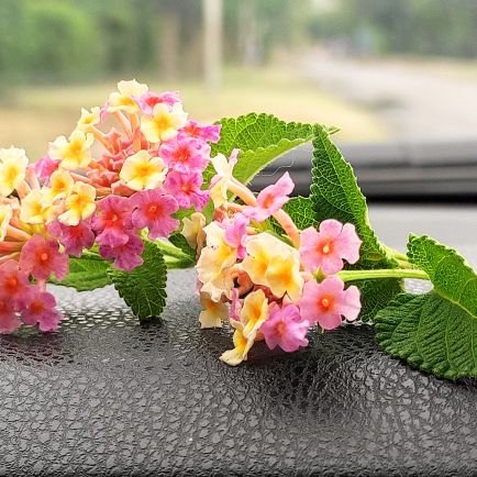 MuhammadTariq2's profile picture. Kuwait Energy Basra Iraq