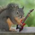 Don's Discount Guitars and More (@donsdiscount) Twitter profile photo Don's Discount Guitars and More (@donsdiscount) Twitter profile photo