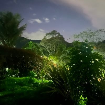 boston_colombia's profile picture. calisthenics every day