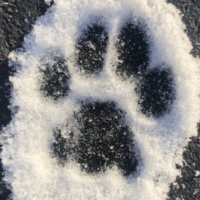 KitBoMax's profile picture. Don't believe everything on X!