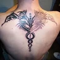 FREEGUY8427_MAN's profile picture. Straight, Bisexual, Homosexual