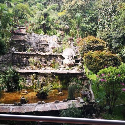 DianaRi22042379's profile picture. 