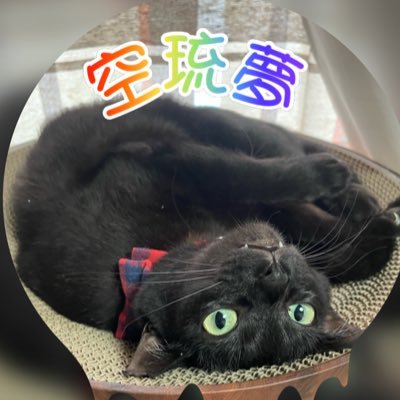 ちゃみこ❷❶❺❹🐈‍⬛🐾🐾さんのプロフィール画像