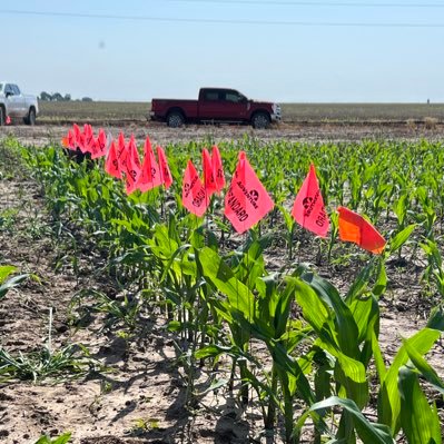 AgVenture Independent Seed Company proud to provide corn, soybeans, sunflowers, and sorghum seed in parts of Nebraska, Kansas, Oklahoma, Texas, Colorado.
