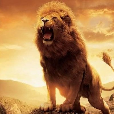 Mim017221171872's profile picture. No resistance can low my potential\n\nsola adress \n\nBurningMaroo $Maroo