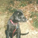 Stephanie Kennett - @StephKennett - Twitter