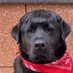 Carter Live (@carter_dolphinn) Twitter profile photo Carter Live (@carter_dolphinn) Twitter profile photo
