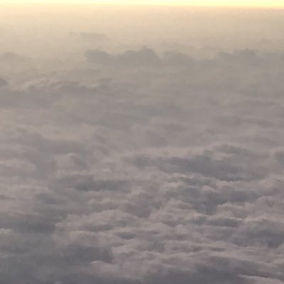 hayasi8635's profile picture. 