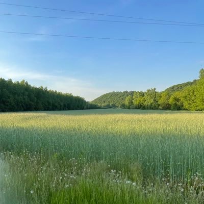 MarkFis74325986's profile picture. 