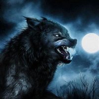 Son of Black Wolf(@GreenLi89635525) 's Twitter Profile Photo