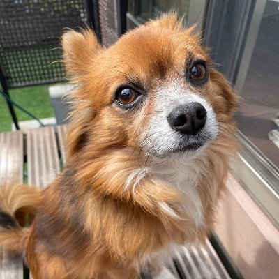 Taikin_tika2's profile picture. デジタルゲーム学科