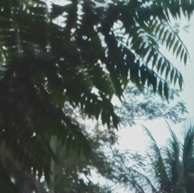 midmod777's profile picture. 