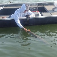Chase Muskellunge (@chasemusky) 's Twitter Profile