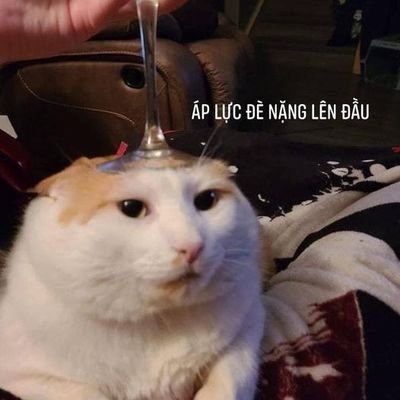 vio_cres's profile picture. 