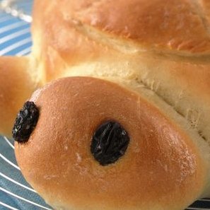 brrreeeaaad's profile picture. I like bread and sleep