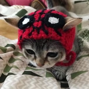 o4tmilklov3r's profile picture. proud owner of a spider man owala