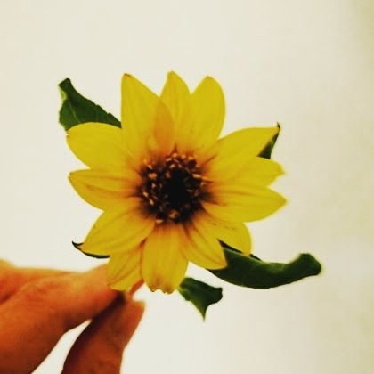 SATO38416035's profile picture. 近所で撮った好きな景色を載せています。
時々お酒も…♡
引き寄せの法則の思考が好きです♪