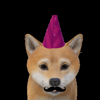 XFLOKI (@xflokicoin) 's Twitter Profile Photo XFLOKI (@xflokicoin) 's Twitter Profile Photo
