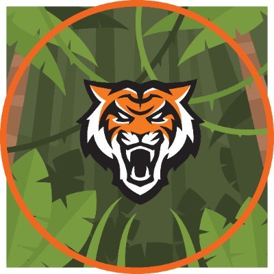 THEJUNGLEOFISU Profile Picture