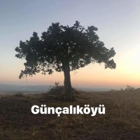 @günçalıköyü_tokat(@GuncaliTokat) 's Twitter Profileg