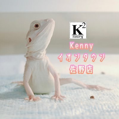 Kennyグループ関東最大級のイオンタウン佐野店です‼ 🐍爬虫類🐍🐸両生類🐸🐞奇虫🐞豊富に取り扱っております! #爬虫類#ボールパイソン#モニター#レオパ#フトアゴ#カメ 爬虫類にはかかせない保温器具、ケージ類、虫エサも豊富に取り扱っております✨アットホームな#爬虫類ショップ 是非お立ち寄りください!