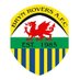 Bryn Rovers AFC (@brynroversafc) Twitter profile photo
