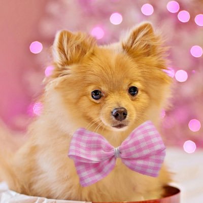 LEMONDR0PPED's profile picture. 💙💚| He/Him |