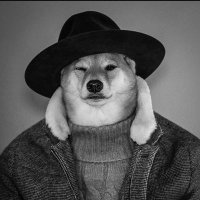 JK Matsuki (@jesusmatsuki) 's Twitter Profile Photo JK Matsuki (@jesusmatsuki) 's Twitter Profile Photo