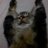 wuerlang1093046