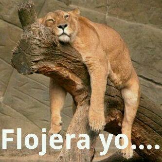 lfpm1's profile picture. Vealquetodolopuede