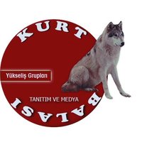 KurtBalası🐺2(@kurtbalam) 's Twitter Profile Photo