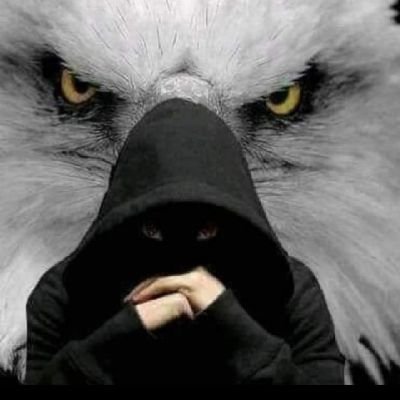 jhamand14494447's profile picture. I am a student, writer and reader