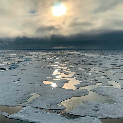 ArcticIce321's profile picture. Pro-cycling, pro-social, pro-gressive. Passionate unofficial Labour Party propagandist. Second hand smoker of Corbynite cope.