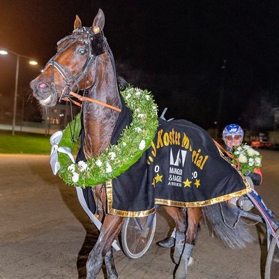 Stall Travdröm 🌟Sevilla ,Verona Brodda , Euphoria Sisu, Garcon d’Or , Herbie Peak