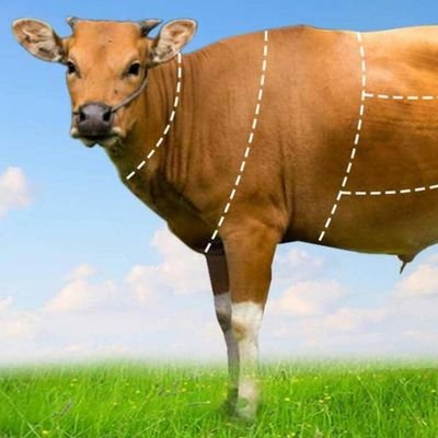 Kglan833's profile picture. 