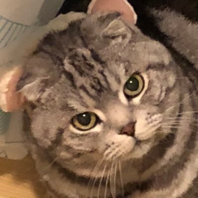 サトシさんのプロフィール画像